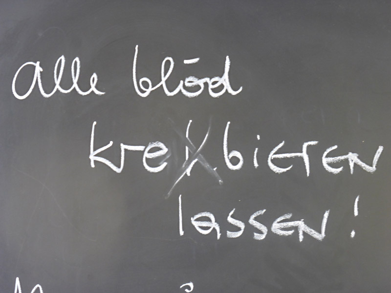 bild